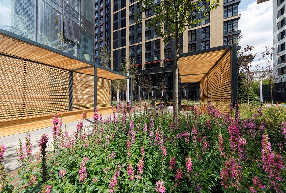 Фотография благоустройства 3